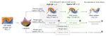Function-space Parameterization of Neural Networks for Sequential Learning